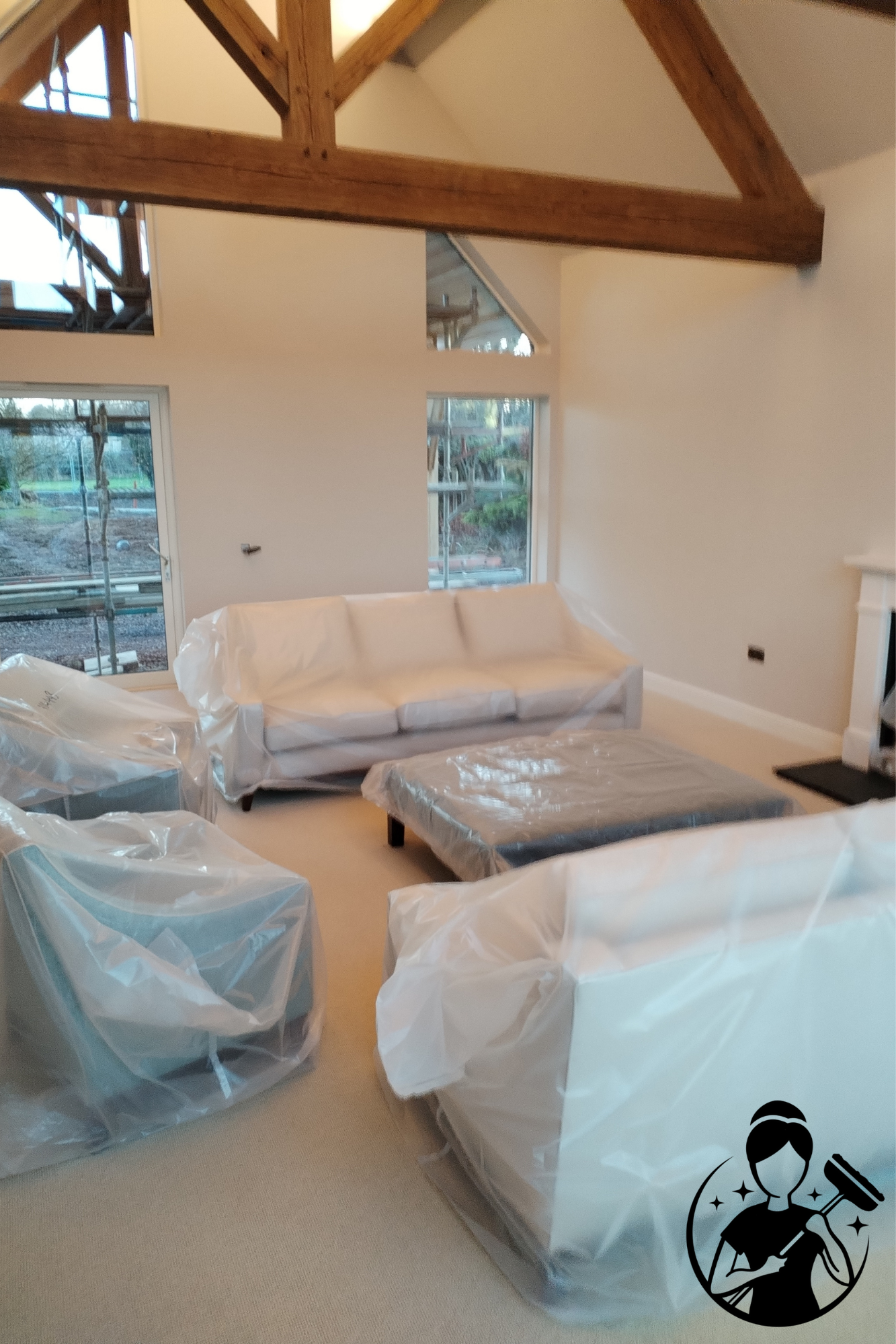 Living Room Sofas Before Photo